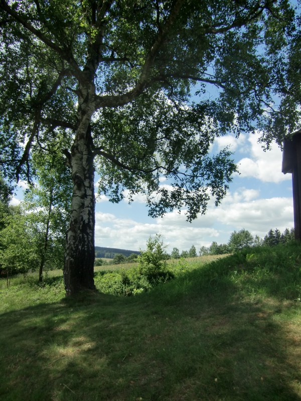 (still) waiting for spring